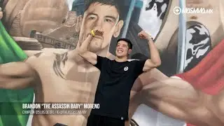 Develaci&oacute;n de Mural de peleadores en Entram Gym