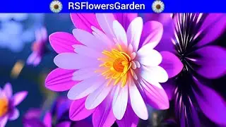 Most beautiful flowers in the Garden🌺| बगीचे के सबसे सुंदर फूल | natural flowers | @RSFlowersGarden 