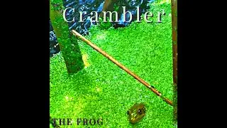 Crambler The Frog - #frog #rock