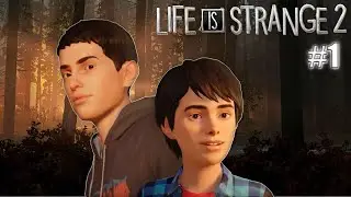 Wolf Brothers | Life Is Strange 2