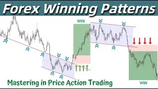 Pure Price Action Trading Strategy That Actually Work __ Parallel Trends __ Trade Like A Pro