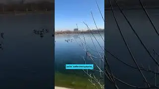 Вибіркова памʼять 