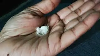 Example of Flax Oil that how to clean fat from blood and blood vessels.