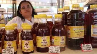 eira Estadual da Agricultura Familiar reúne mais de 100 produtores em Maceió