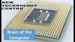 The CPU : Central Processing Unit www.newtechnologycentre.org.uk