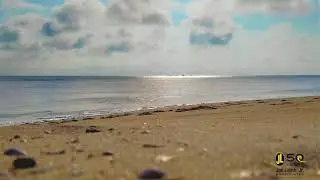 Good Morning from Kitty Hawk, NC - Looking at beach nourishment.