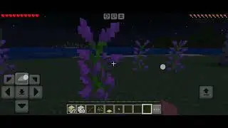 rosegaming - minecraft #day1  first night start's