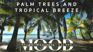🌴 Tropical Ocean Ambience | Swaying Palm Trees, Gentle Waves & Coastal Relaxation Sounds
