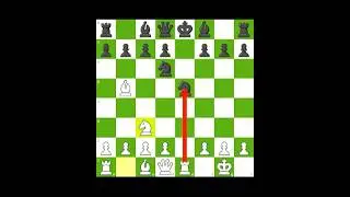Rio gambit accepted trap #berlin #defece #berlingaming #ruylopez #spanish