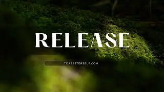 1h Nature Serenity | Soft Ambient Music for Focus & Relaxation.