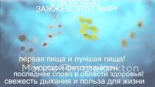 SolarStrips с любовью от FGXpress Forevergreen