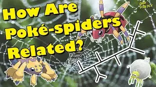 Poké-arachnids and Their Closest Relatives 🕷️ Pokémon Taxonomy