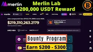 Merlin Lab Bounty Program &raquo; Total Reward $200,000 USDT - Last Date 18 June 2021