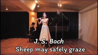 J. S. Bach - Sheep may safely graze for Flute and Piano / 바흐 - 양들은 한가로이 풀을 뜯고 플룻연주