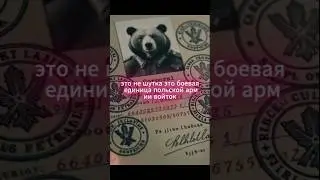 Как медведь стал капралом и героем битвы при Монте-Кассино#Войтек#ВтораяМировая#Медведь#Невероятные