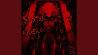 SYSTEM OVERLOAD