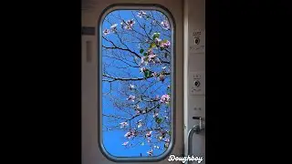 (FREE) wave to earth x Sad Indie Rock Type Beat - 