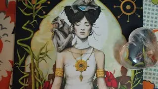 4 - Mater Materia Medica