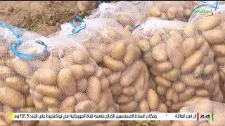 الصائمون في الأعماق 26-03-2024