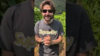 Die Versprecher der Kalenderwoche 27