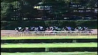 Jazil - 2006 Belmont Stakes