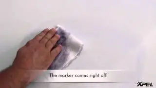 Permanent Marker Versus XPEL Paint Protection Film Clear Bra