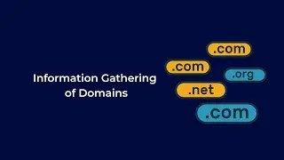 Domain Information Gathering | OSINT & Ethical Hacking Tutorial for Beginners - Part13