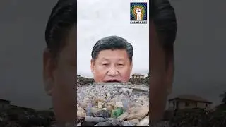 China Is The Biggest Exporter Of Plastic