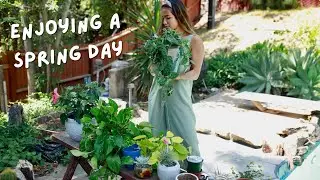 celebrating spring things | BUYING NEW HOUSE PLANTS 🌱