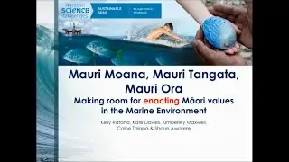Mauri Moana, Mauri Tangata, Mauri Ora - Enacting Maori Values in the marine environment