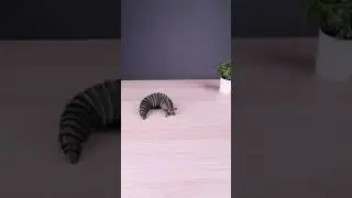 3D Printer Caterpillar Toys
