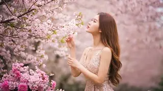Relaxing music for stress relief🌿| Chinese Music🎵| Guzheng, Bamboo Flute 🎵✨| Beautiful girl |3MMusic
