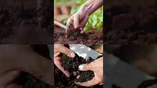 ADOB&reg;️ Ca EDTA &ndash; 14 % &ndash; это специальное удобрение.