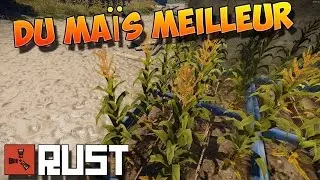 Rust Fr - Ma&iuml;s de meilleur qualit&eacute; ! Astuce