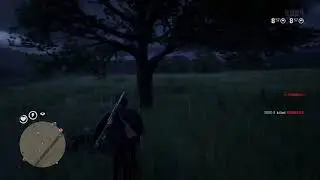 Red Dead Redemption 2 online: Kewinhello where are you going my guy?!