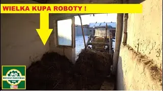 🚜CIAPEK I WYWÓZ OBORNIKA Z KURNIKA !