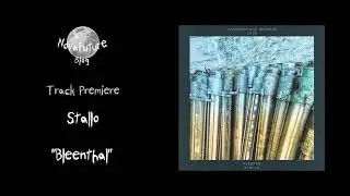 Stallo - Bleenthal [CBR008 | Casanova Bar Records | Premiere]