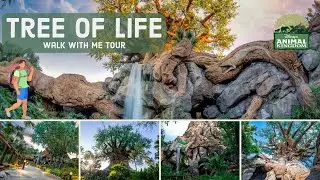 Tree of Life at Disney's Animal Kingdom | Looking for Animals | Walk with me Tour