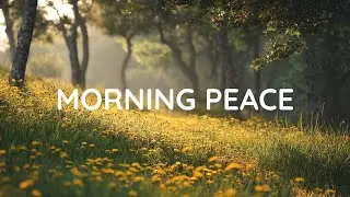 Serene Island Waters 🌊 Tranquil Soundscape & Soft Melodies for Relaxation