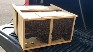 Bee packages Spring 2023