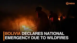 Bolivia declares national emergency due to wildfires | DD India