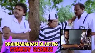 Brahmanandam And Saptagiri Jail Comedy Scene || Jaffa Telugu Movie Scenes || Matinee Show