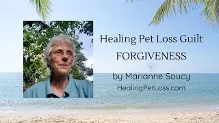 Forgiveness - Healing Pet Loss Guilt - Padme the angel dog