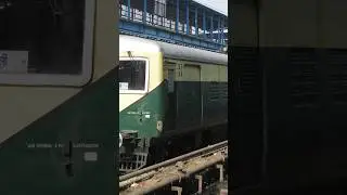 Indian Railways🇮🇳 Local Train🚊| #localtrain #train #shorts #indianrailways @lohpathgamini