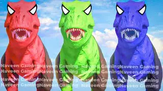 Wild Animals Gameplay Walkthrough | Funny Animals Compilation | Animals Fun Animation!