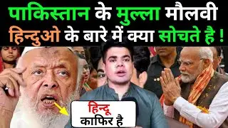 WHAT PAK MOLVI THINK ABOUT HINDUS | HINDUS ARE SAFE IN PAK | PAK MOLVI REACTION