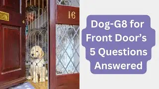 Ответы на 5 самых популярных вопросов о Dog-G8 🔍 Узнайте, почему это незаменимый аксессуар для вл...