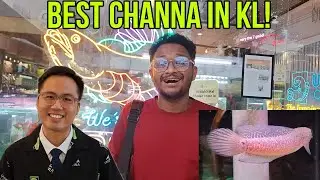 KEDAI IKAN 