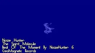 Noize Hunter, The Spirit Molecule, Beat Of The Moment By NoizeHunter #06, GeoMagnetic Records