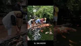 Best place to visit in El Salvador country As&iacute; es El Salvador 2022 #elsalvador #travel #turismo #art